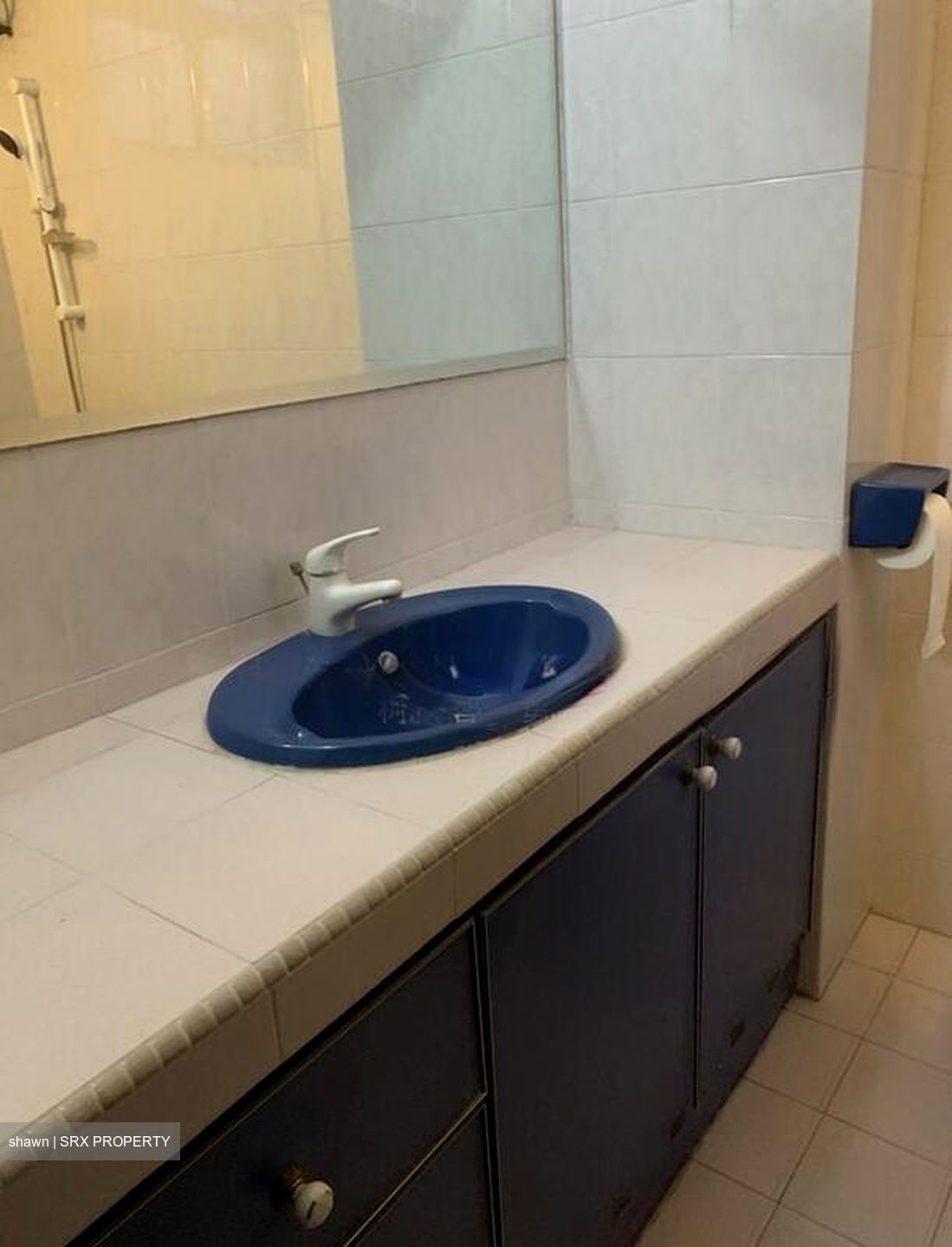 Ji Xiang Court (D15), Apartment #496365451